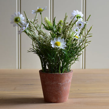 Wildflowers in Pot White - RUTHERFORD & Co