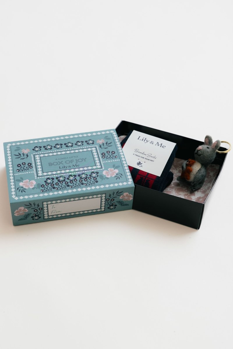 Window Cats Socks And Cat Keyring Giftbox - RUTHERFORD & Co
