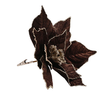 Velvet Poinsetta with Clip - Chocolate