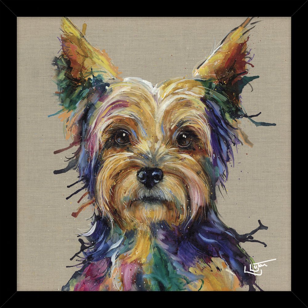Yorkie HF - A22 - RUTHERFORD & Co