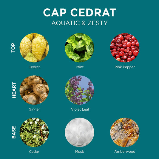 Cap Cedrat Hair & Body Wash 250ml - RUTHERFORD & Co