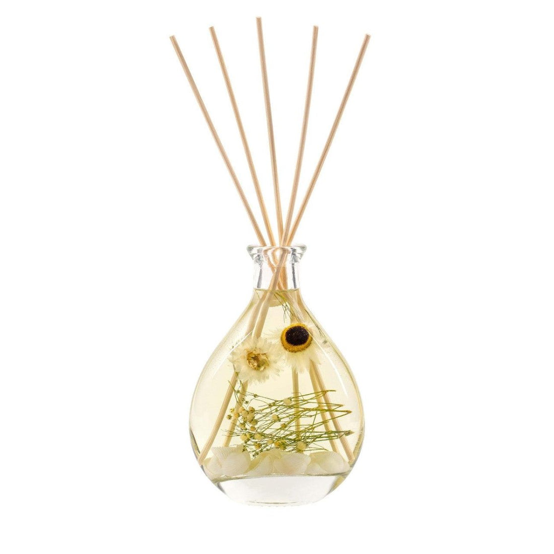 Beach Daisy - Reed Diffuser 180ml - RUTHERFORD & Co