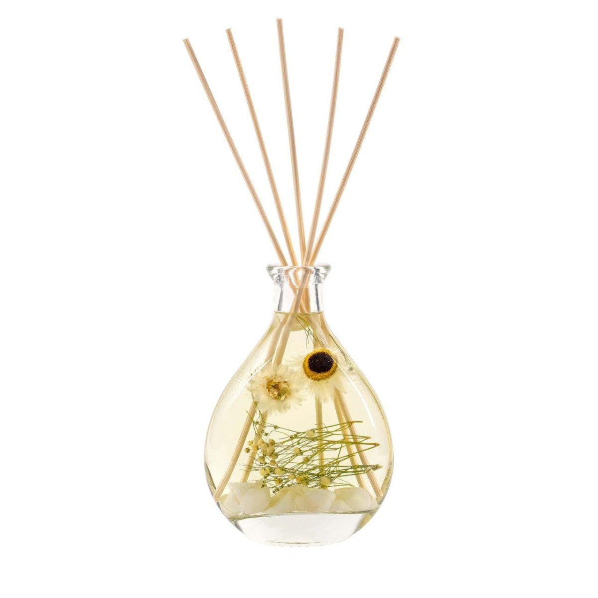 Beach Daisy - Reed Diffuser 180ml - RUTHERFORD & Co