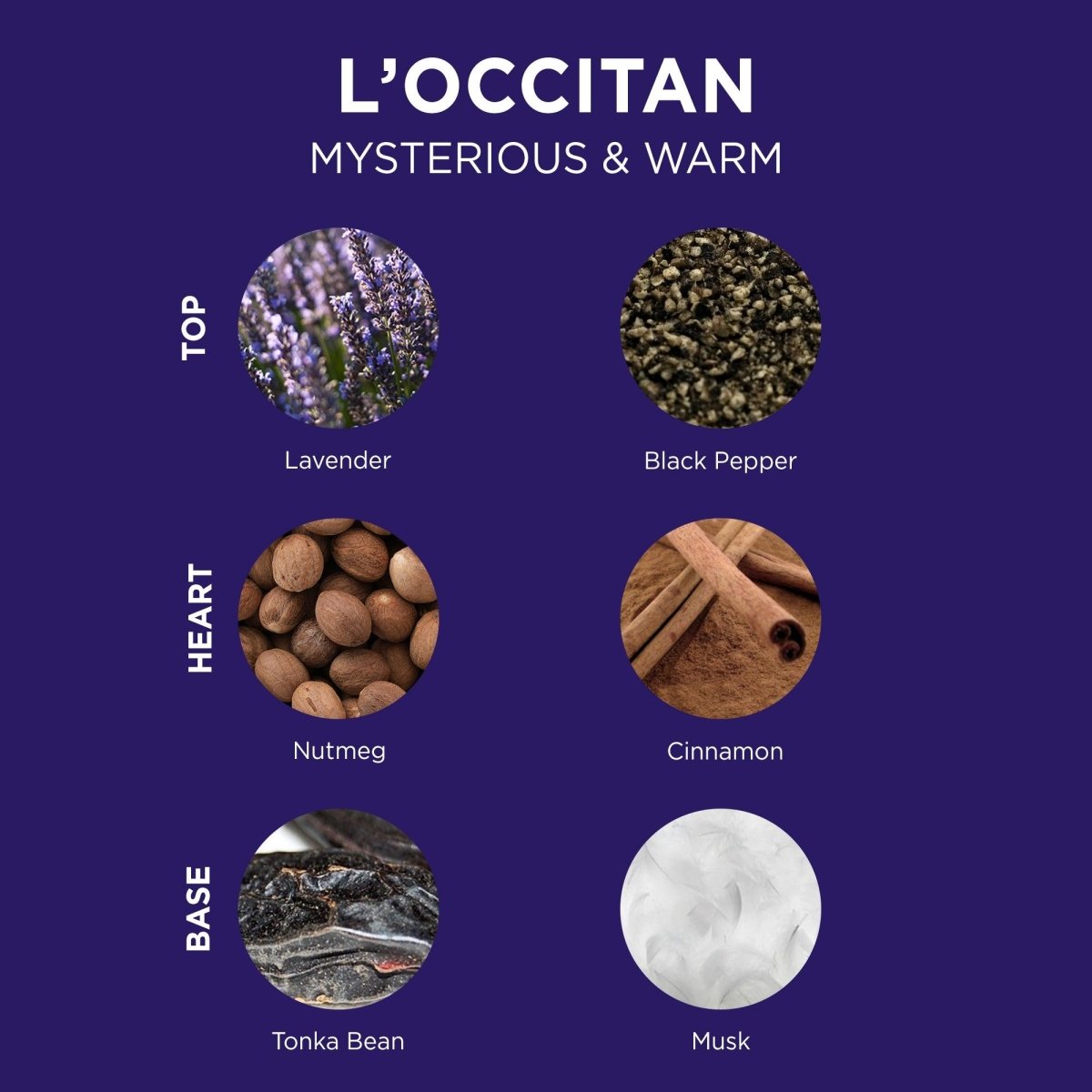 L'Occitane Hair & Body Wash 250ml - RUTHERFORD & Co