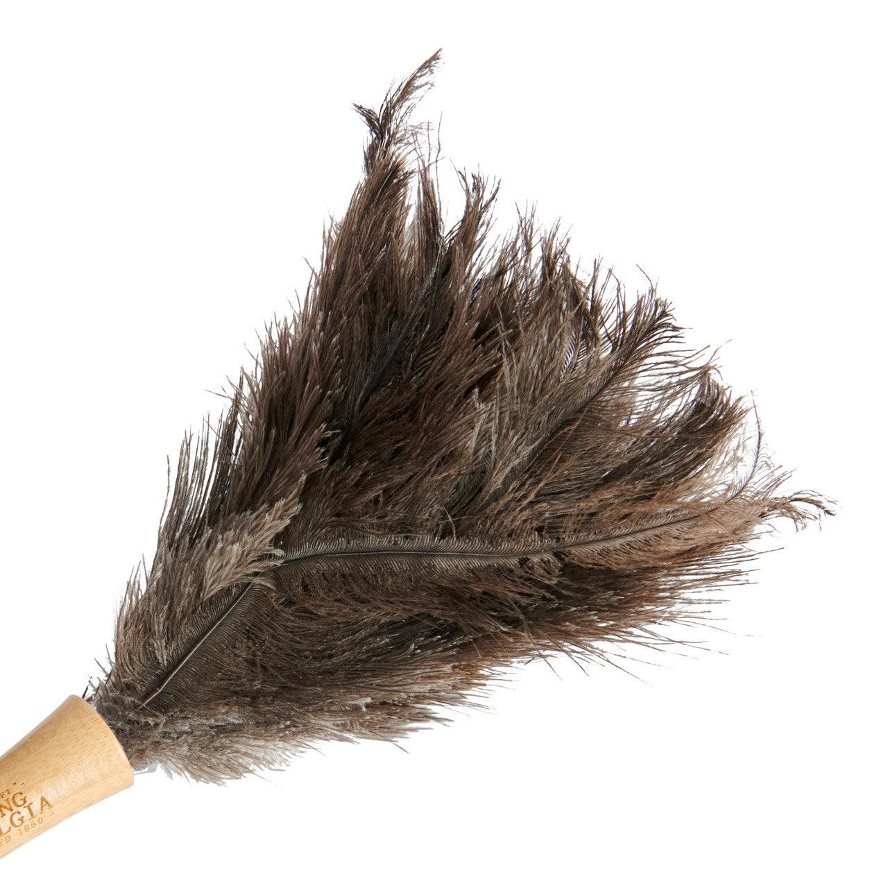 Living Nostalgia Genuine Ostrich Feather Duster with Telescopic Handle - RUTHERFORD & Co